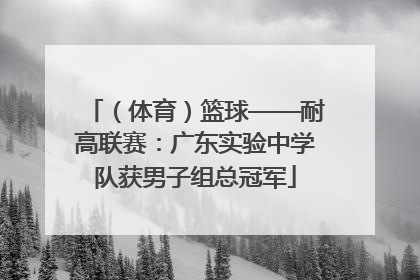 （体育）篮球——耐高联赛：广东实验中学队获男子组总冠军
