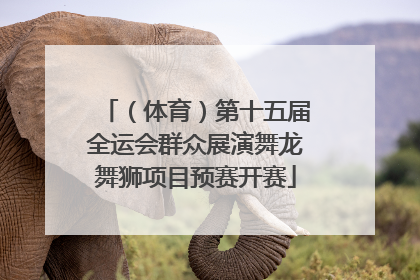 （体育）第十五届全运会群众展演舞龙舞狮项目预赛开赛