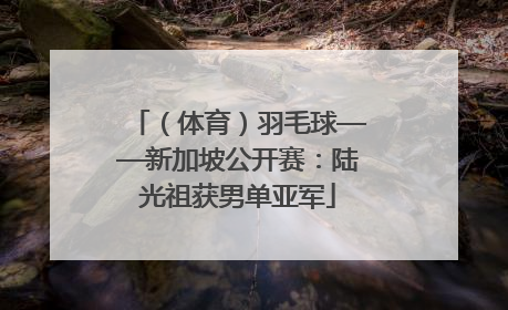 （体育）羽毛球——新加坡公开赛：陆光祖获男单亚军