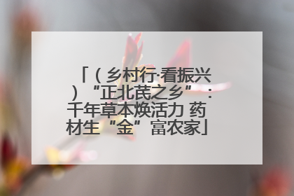 （乡村行·看振兴）“正北芪之乡”：千年草本焕活力 药材生“金”富农家