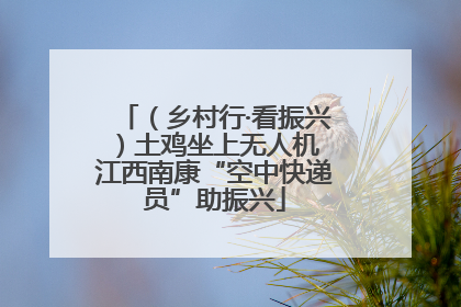 （乡村行·看振兴）土鸡坐上无人机 江西南康“空中快递员”助振兴