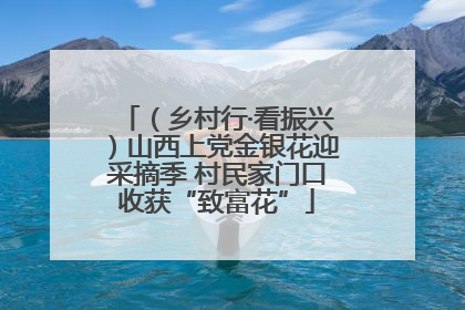 （乡村行·看振兴）山西上党金银花迎采摘季 村民家门口收获“致富花”