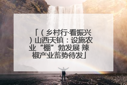 （乡村行·看振兴）山西天镇：设施农业“棚”勃发展 辣椒产业蓄势待发