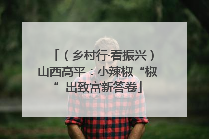 （乡村行·看振兴）山西高平：小辣椒“椒”出致富新答卷