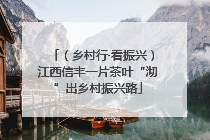 （乡村行·看振兴）江西信丰一片茶叶“沏”出乡村振兴路