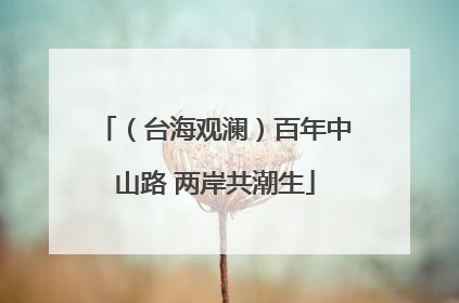 （台海观澜）百年中山路 两岸共潮生