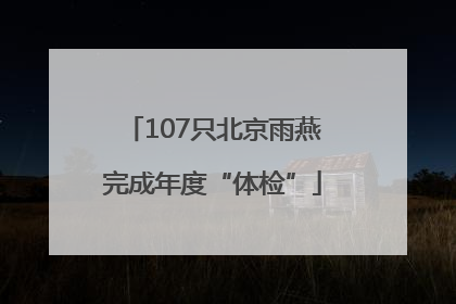 107只北京雨燕完成年度“体检”