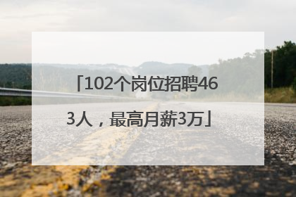 102个岗位招聘463人，最高月薪3万