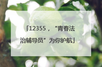 12355，“青春法治辅导员”为你护航