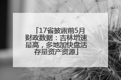 17省披露前5月财政数据：吉林增速最高，多地加快盘活存量资产资源