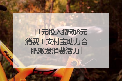 1元投入撬动8元消费！支付宝助力合肥激发消费活力