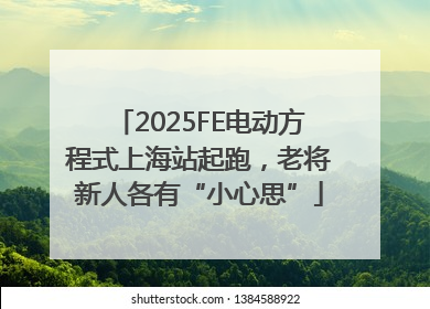2025FE电动方程式上海站起跑，老将新人各有“小心思”