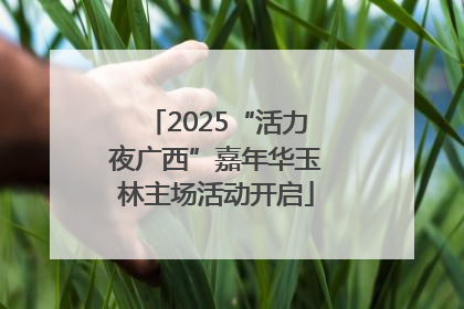 2025“活力夜广西”嘉年华玉林主场活动开启
