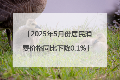 2025年5月份居民消费价格同比下降0.1%