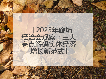 2025年廊坊经洽会观察：三大亮点解码实体经济增长新范式
