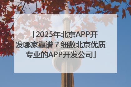 2025年北京APP开发哪家靠谱？细数北京优质专业的APP开发公司