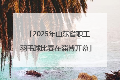 2025年山东省职工羽毛球比赛在淄博开幕