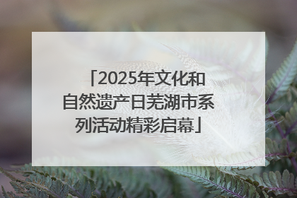 2025年文化和自然遗产日芜湖市系列活动精彩启幕