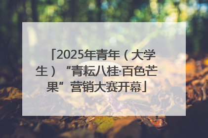 2025年青年（大学生）“青耘八桂·百色芒果”营销大赛开幕