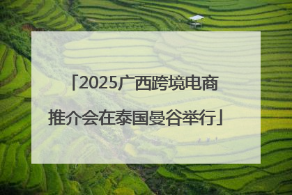 2025广西跨境电商推介会在泰国曼谷举行