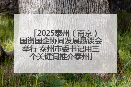 2025泰州（南京）国资国企协同发展恳谈会举行 泰州市委书记用三个关键词推介泰州