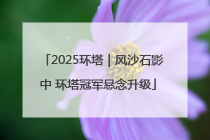 2025环塔｜风沙石影中 环塔冠军悬念升级