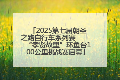 2025第七届朝圣之路自行车系列赛——“孝贤故里”环鱼台100公里挑战赛启幕