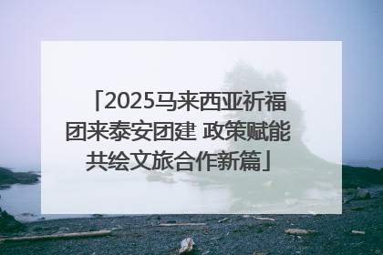 2025马来西亚祈福团来泰安团建 政策赋能共绘文旅合作新篇