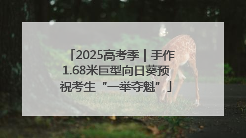 2025高考季｜手作1.68米巨型向日葵预祝考生“一举夺魁”