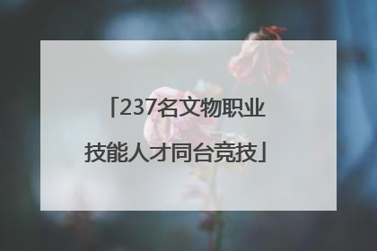 237名文物职业技能人才同台竞技