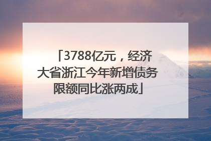 3788亿元，经济大省浙江今年新增债务限额同比涨两成