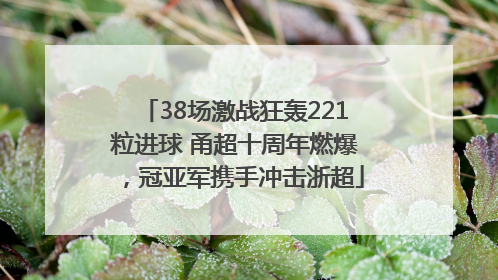 38场激战狂轰221粒进球 甬超十周年燃爆，冠亚军携手冲击浙超