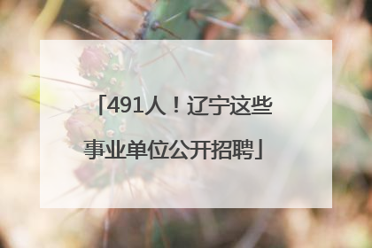 491人！辽宁这些事业单位公开招聘