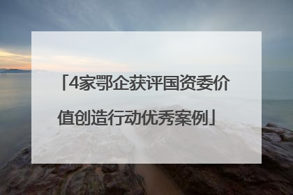 4家鄂企获评国资委价值创造行动优秀案例