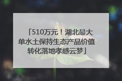 510万元！湖北最大单水土保持生态产品价值转化落地孝感云梦