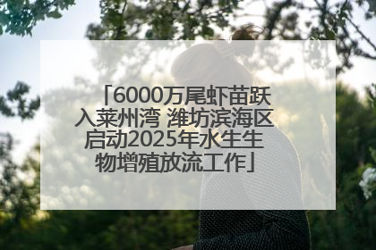6000万尾虾苗跃入莱州湾 潍坊滨海区启动2025年水生生物增殖放流工作
