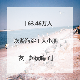 63.46万人次游海淀！大小朋友一起玩嗨了