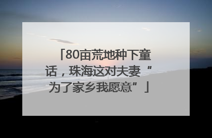 80亩荒地种下童话，珠海这对夫妻“为了家乡我愿意”