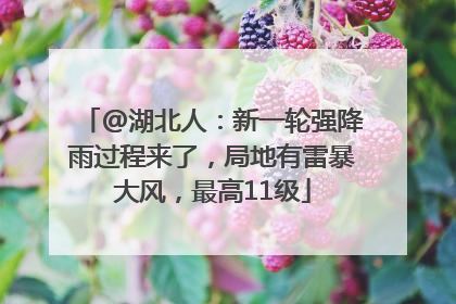 @湖北人：新一轮强降雨过程来了，局地有雷暴大风，最高11级