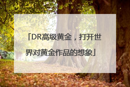 DR高级黄金，打开世界对黄金作品的想象
