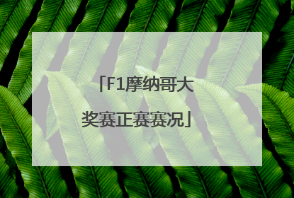 F1摩纳哥大奖赛正赛赛况
