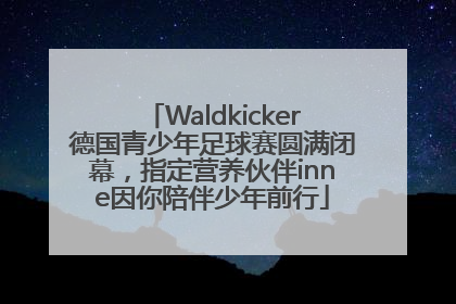 Waldkicker德国青少年足球赛圆满闭幕，指定营养伙伴inne因你陪伴少年前行
