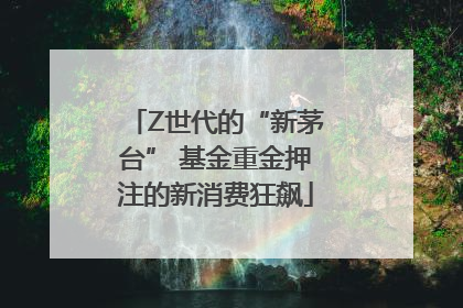 Z世代的“新茅台” 基金重金押注的新消费狂飙